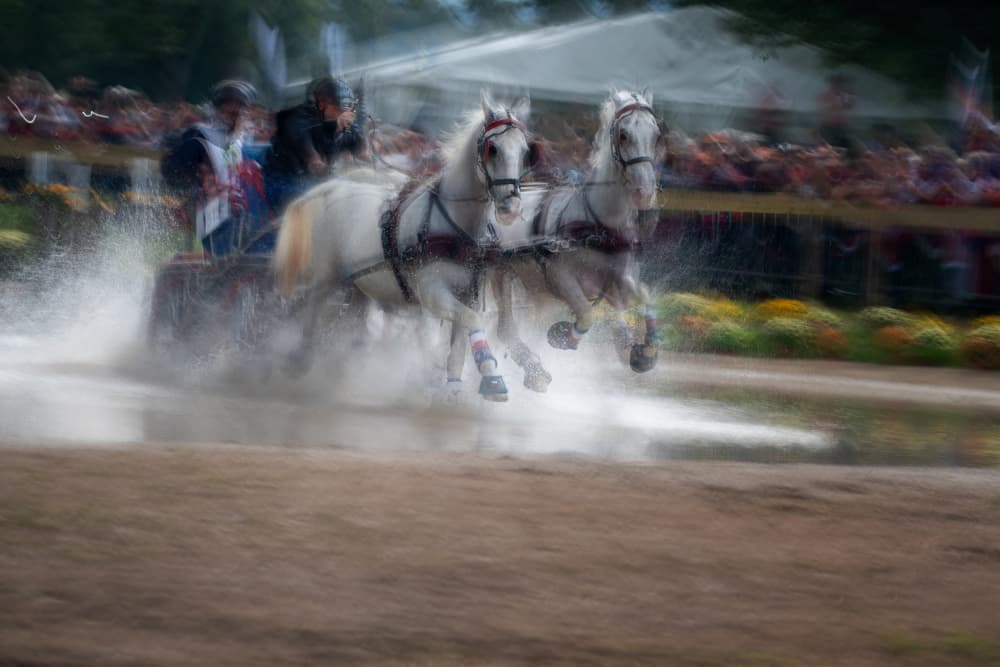 Speeding White Horses Splash by Milan Malovrh — canvas wall art
