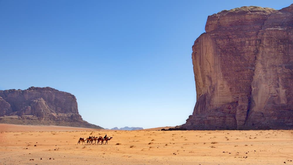Desert Caravan Journey by Zühdü Bilgin — canvas wall art