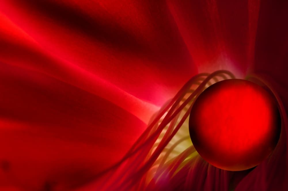 Red Sphere Glow by Hilde Ghesquiere — canvas wall art