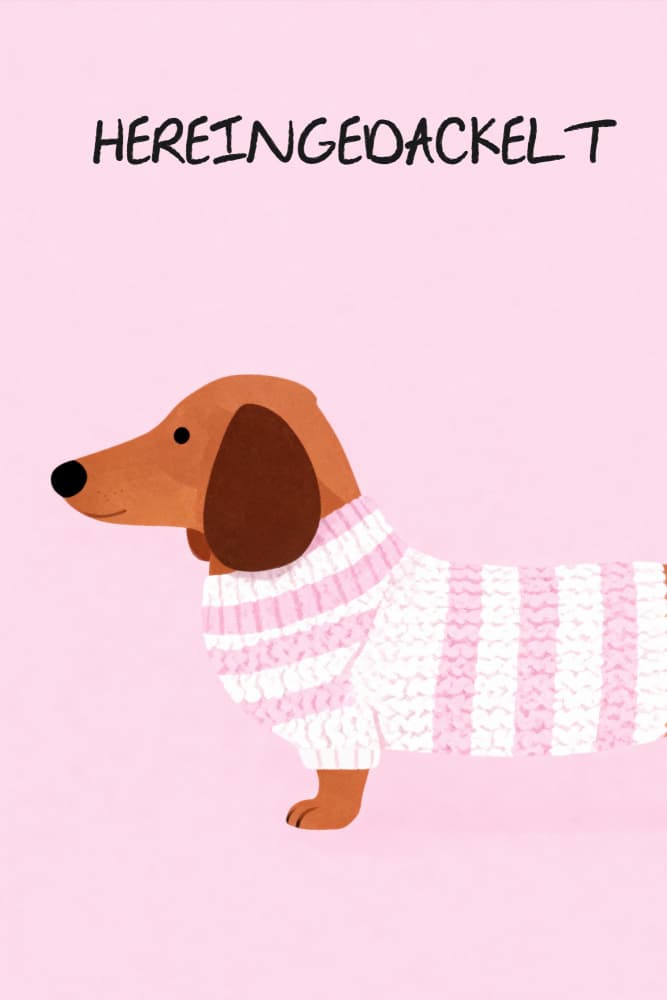 Dachshund In Pink Sweater by Neetesh Kumar — canvas wall art