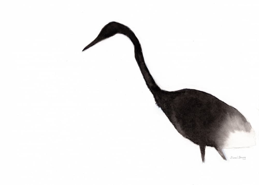 Black Ink Crane by Janel Bragg — canvas wall art