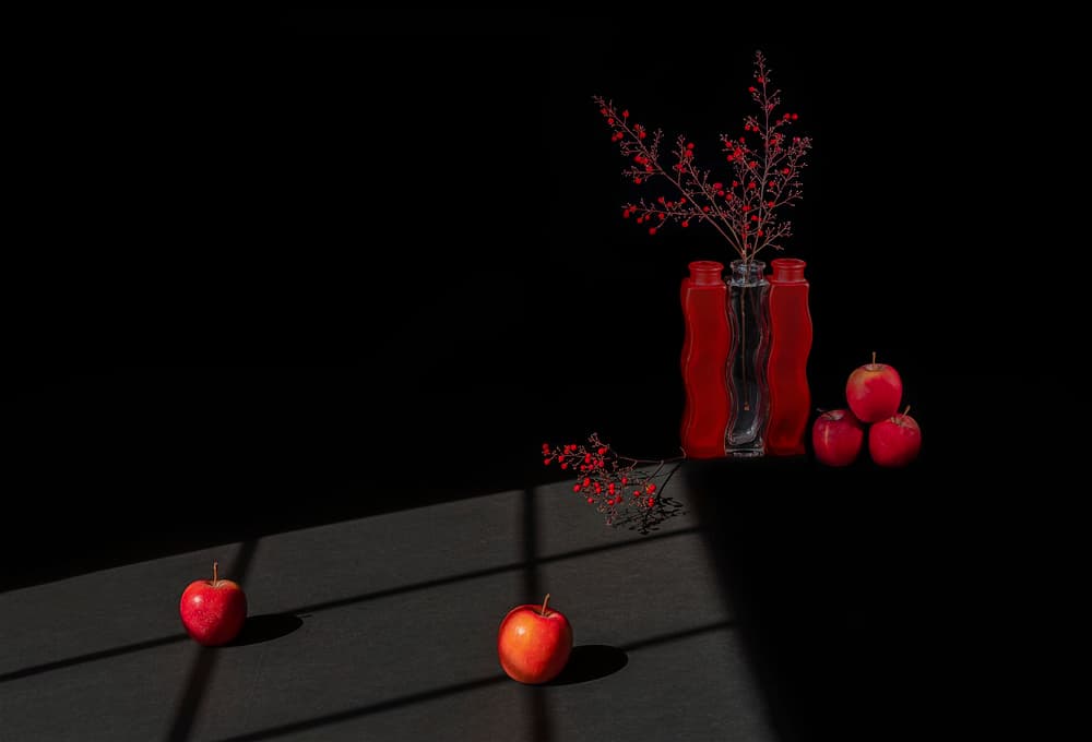 Dramatic Red Still Life by Lydia Jacobs — canvas wall art