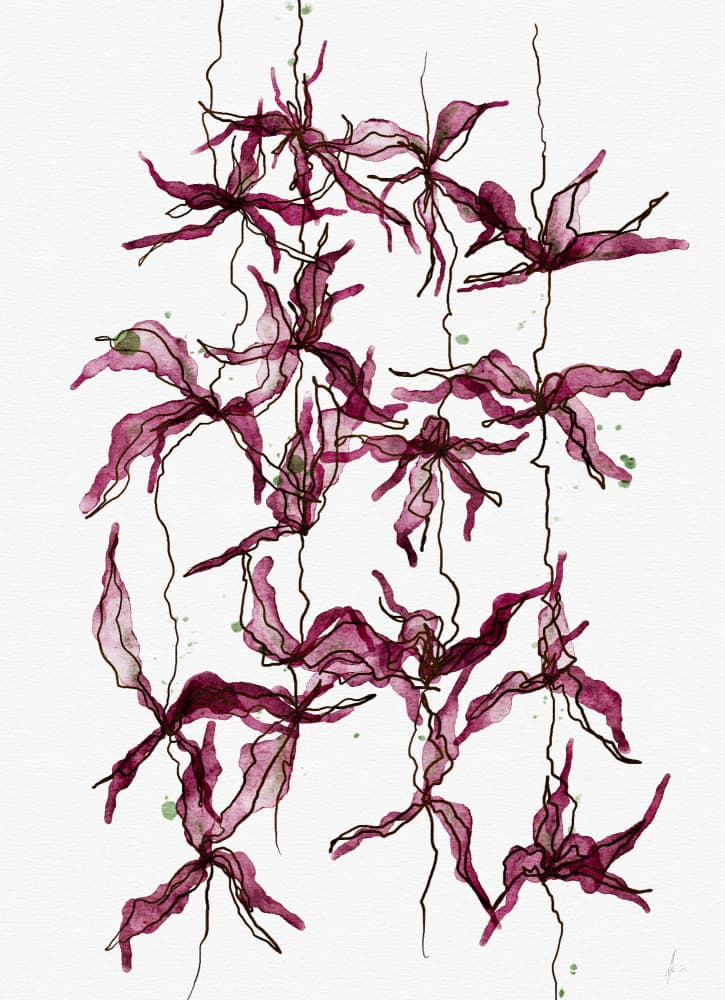 Flowing Magenta Flora by Ankie Kooi — canvas wall art