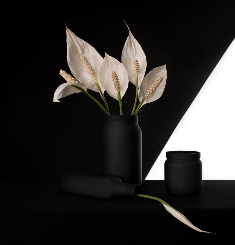 Elegant Peace Lily Contrast by Margareth Perfoncio — canvas wall art
