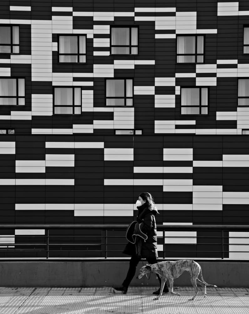 Urban Dog Walker by Ezequiel59 — canvas wall art