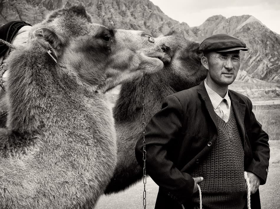 Nomad and His Camels by Nicolas Marino — canvas wall art
