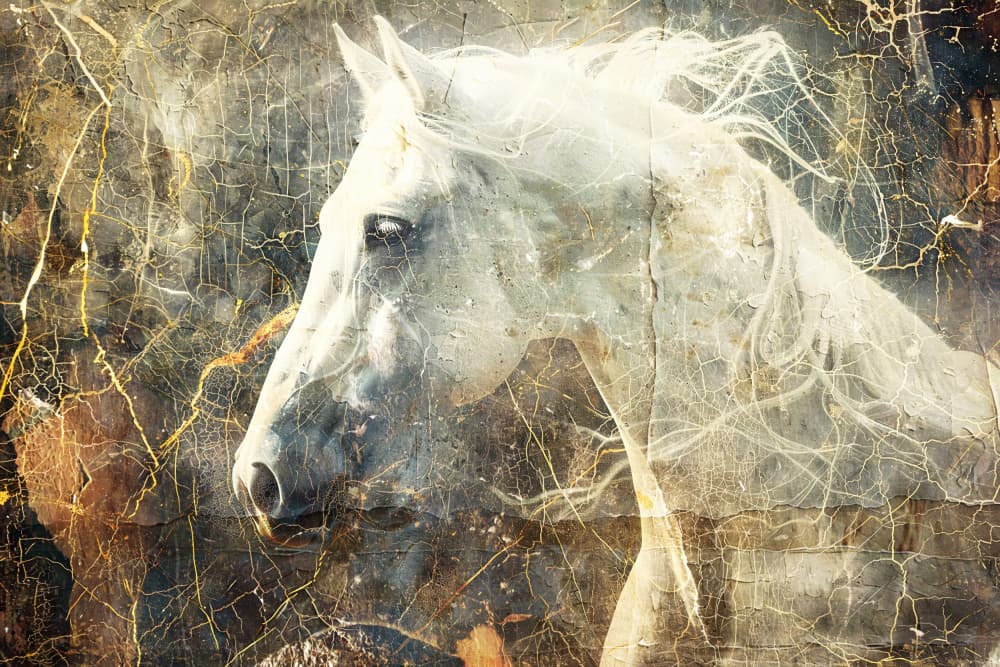 Ethereal White Horse by Rafal Kulik — canvas wall art
