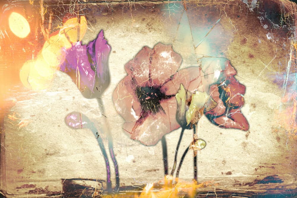 Vintage Dreamy Poppies by Rafal Kulik — canvas wall art