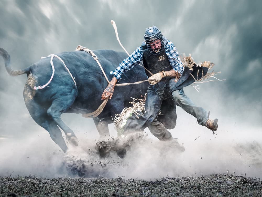 Bucking Bull Rider by Frank Ma — canvas wall art