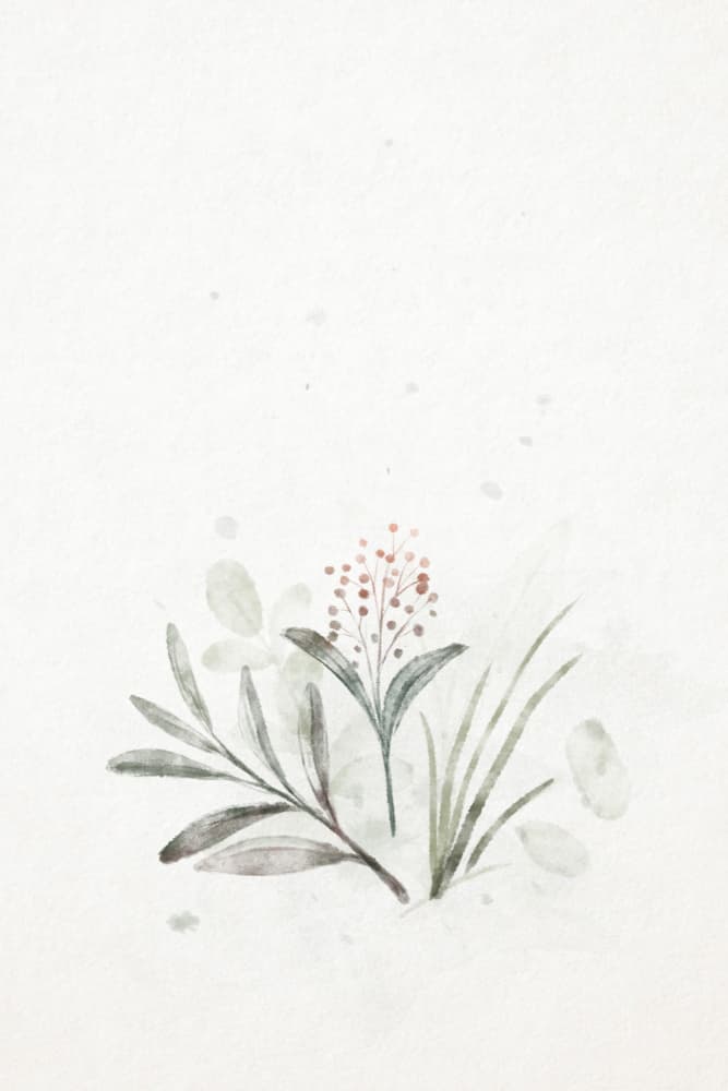 Serene Watercolor Plants by Xuan Thai — canvas wall art