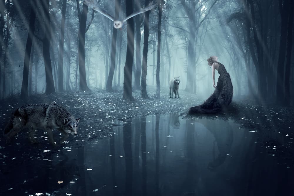 Queen of Wolvies II by Jackson Carvalho — canvas wall art