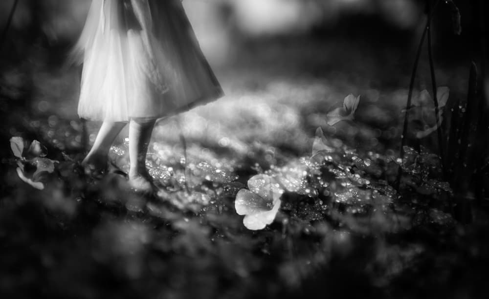 Barefoot Dream Walk by Charlaine Gerber — canvas wall art