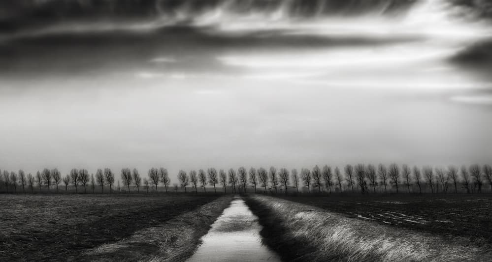 Stark Winter Horizon by Yvette Depaepe — canvas wall art