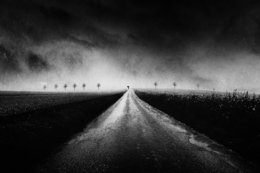 Long Misty Road by Adam Dauria ☂ — canvas wall art