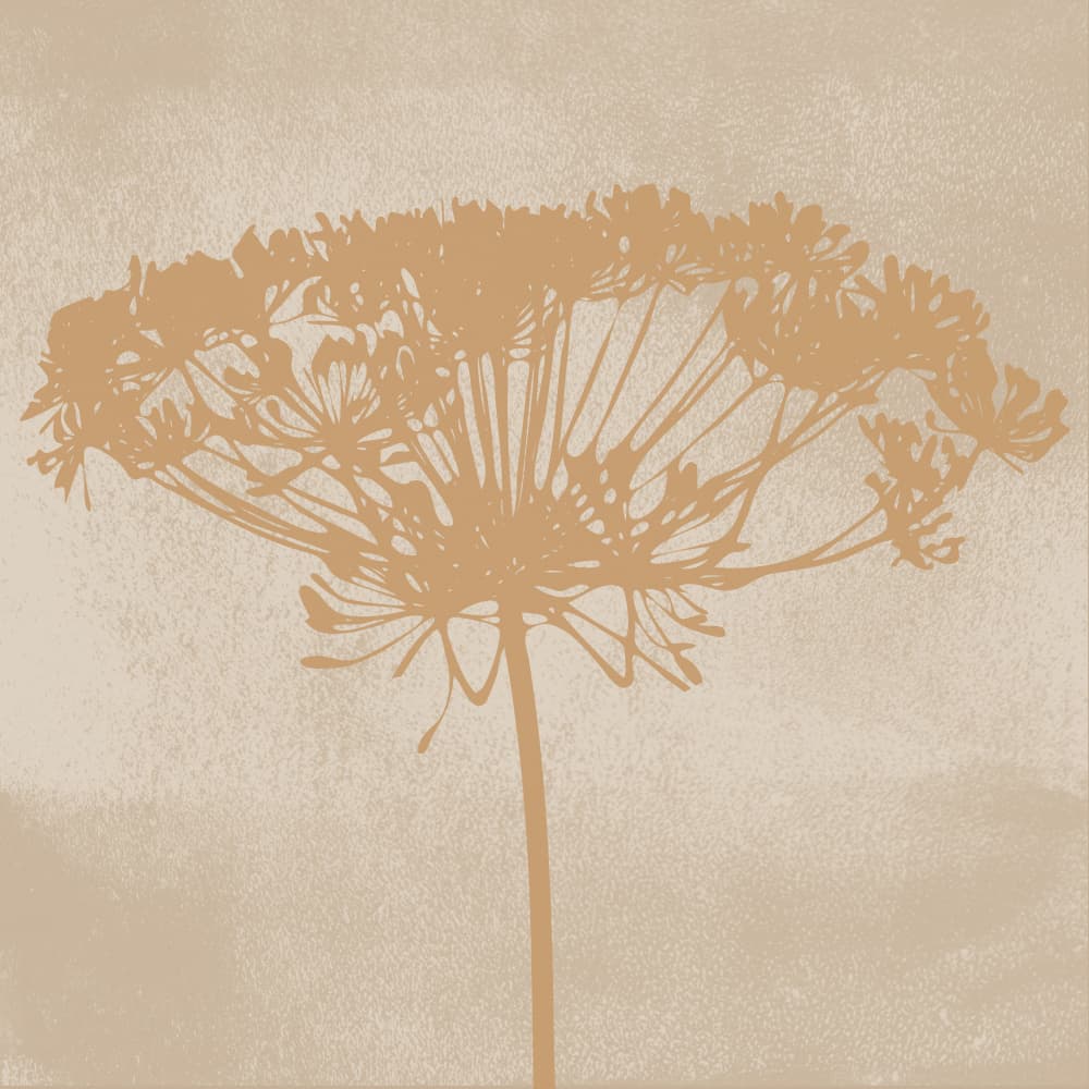 Dill Botanical Silhouette by Dina Dankers — canvas wall art