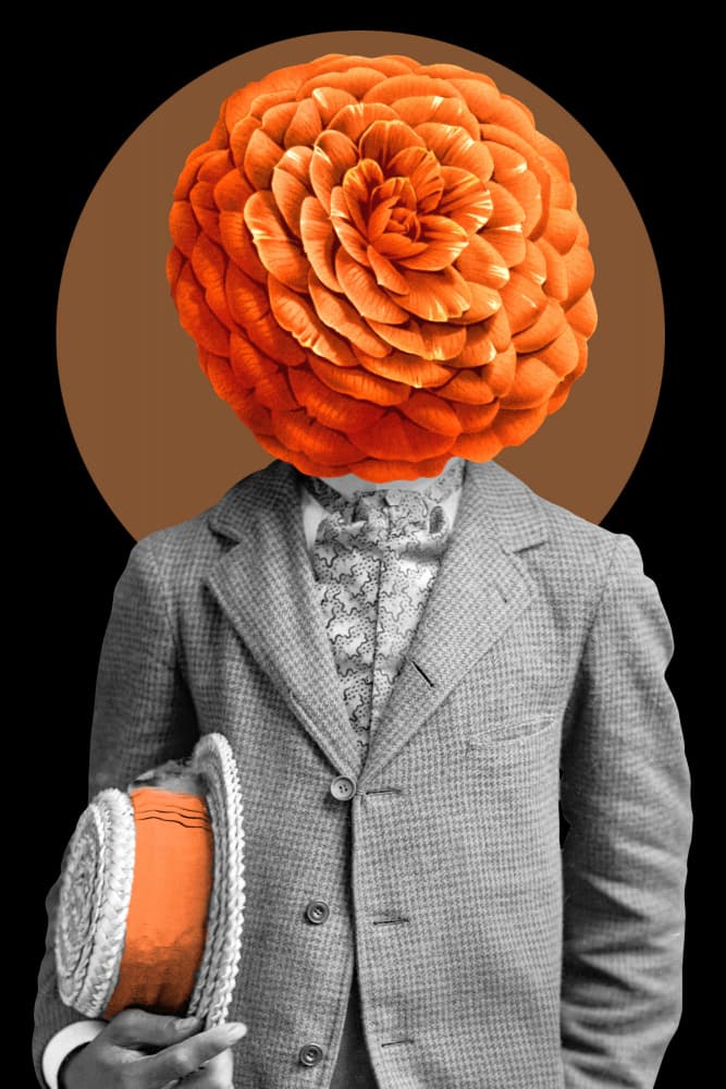 Orange Flower Gentleman by Marja van den Hurk — canvas wall art