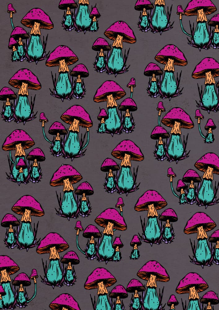 Enchanted Forest Mushrooms by Nicholas — canvas wall art