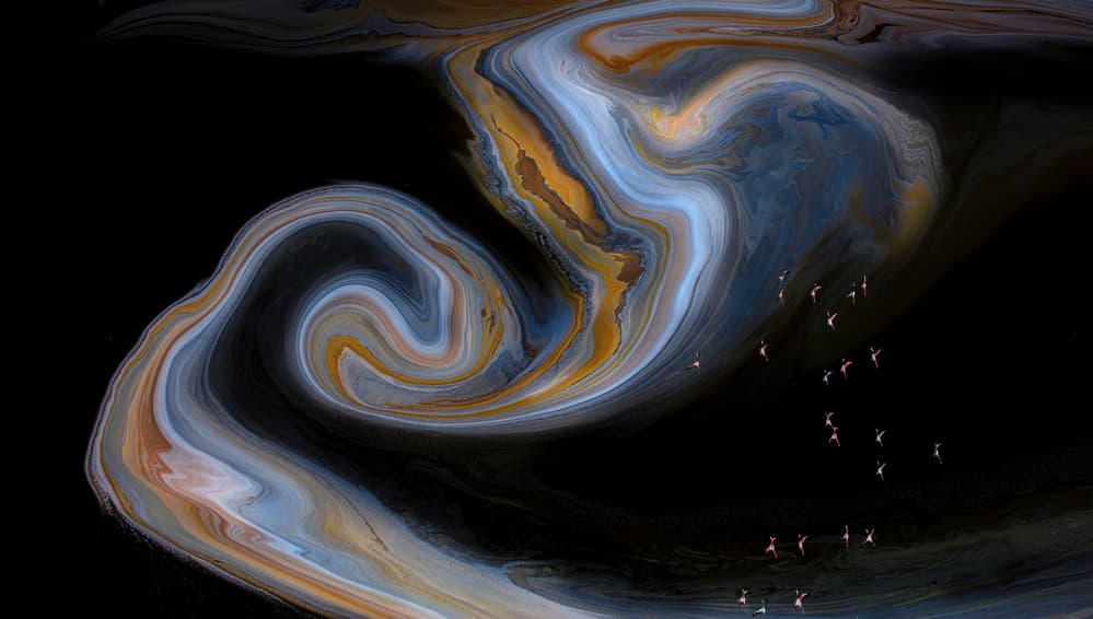 Flamingos on Swirling Water by Jun Zuo — canvas wall art