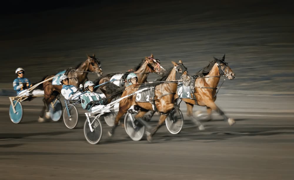 Night Harness Race by Shi & Wei — canvas wall art