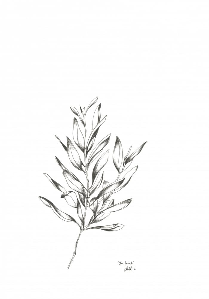 Elegant Olive Branch by Lor Muller — canvas wall art