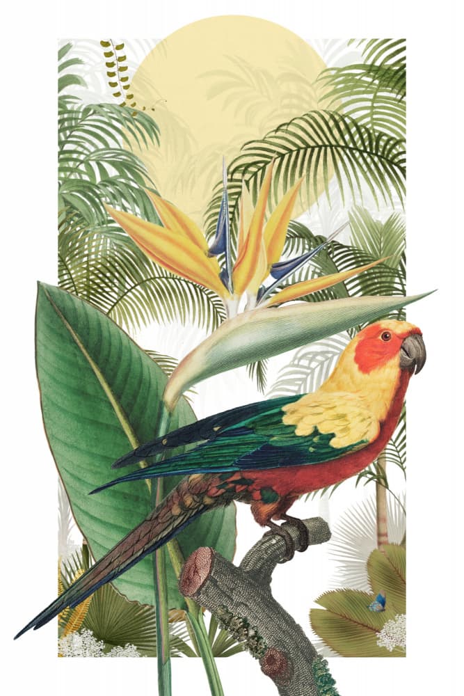 Tropical Parrot Paradise by Marja van den Hurk — canvas wall art