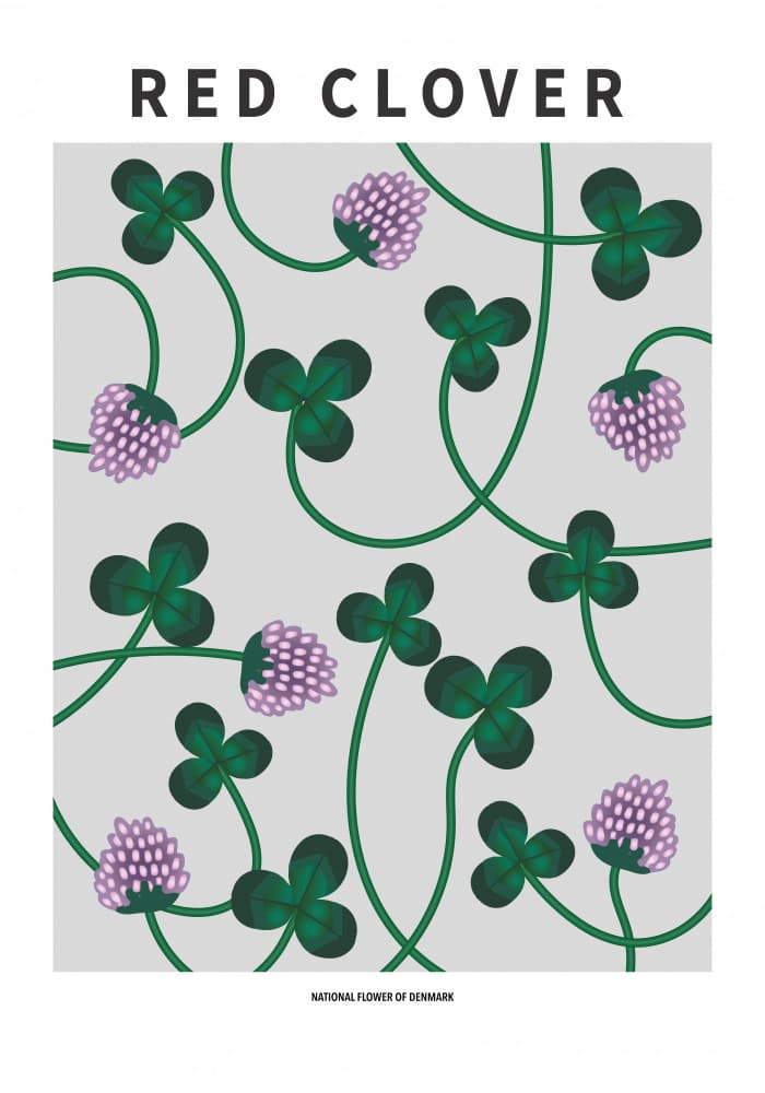 Red Clover Pattern by Paperago — canvas wall art