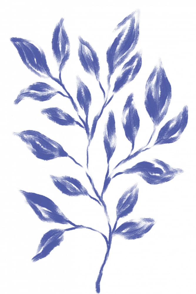 Periwinkle Botanical Branch by Martina — canvas wall art