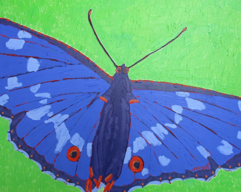 Butterfly 2 by Sue Graef — canvas wall art