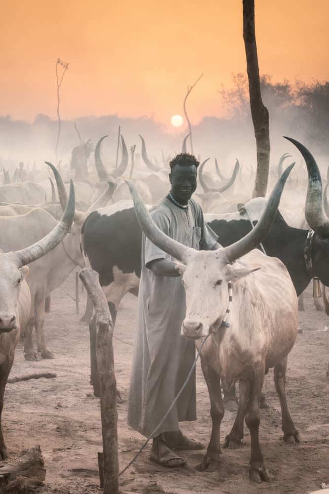 African Herder Golden Hour by Trevor Cole — canvas wall art