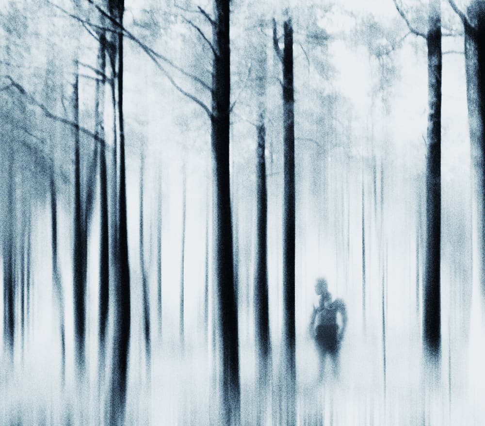 Misty Forest Figure by Kahar Lagaa — canvas wall art