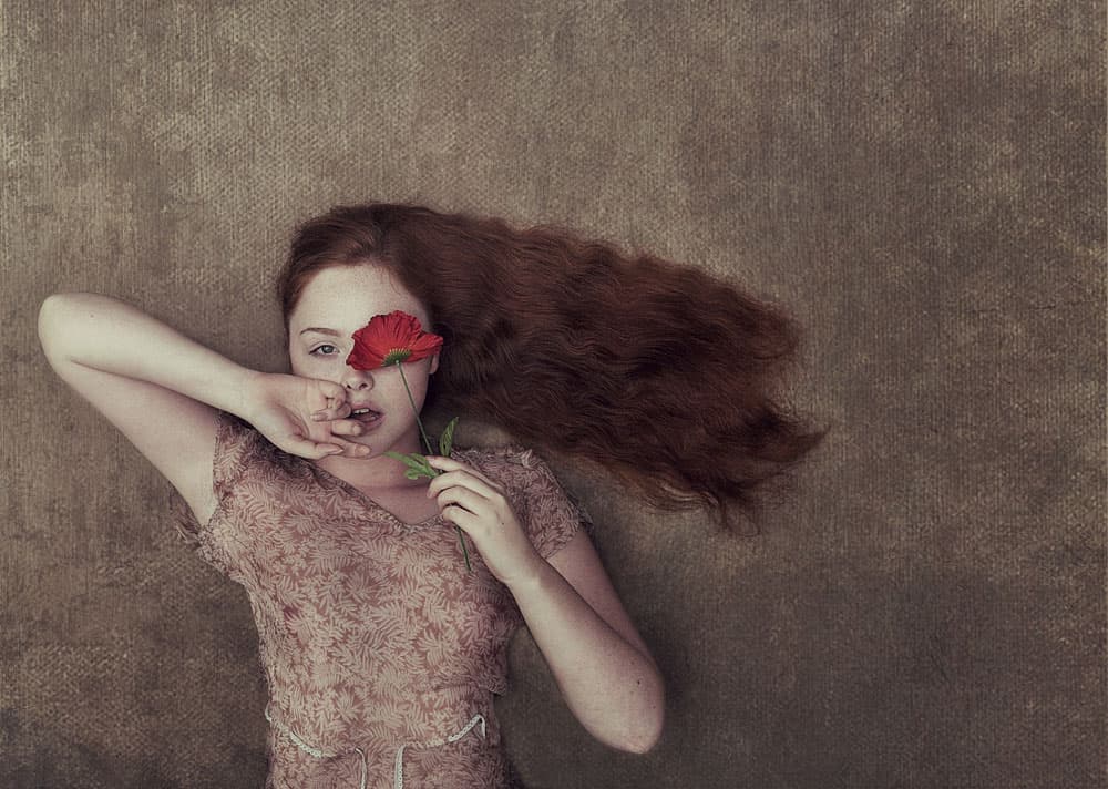 Dreamy Poppy Portrait by kenp — canvas wall art