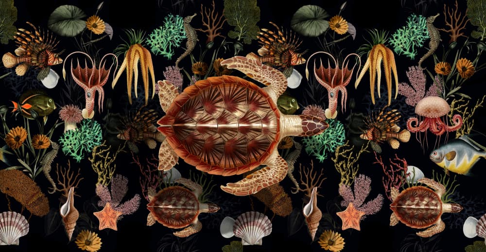 Vintage Ocean Creatures by Marja van den Hurk — canvas wall art