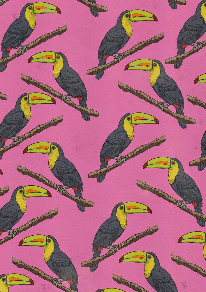 Tropical Toucan Pattern by Nicholas — canvas wall art