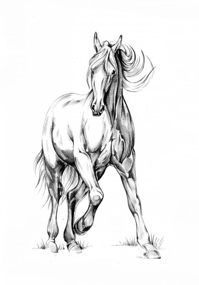 Galloping Horse Sketch by Kulik — canvas wall art