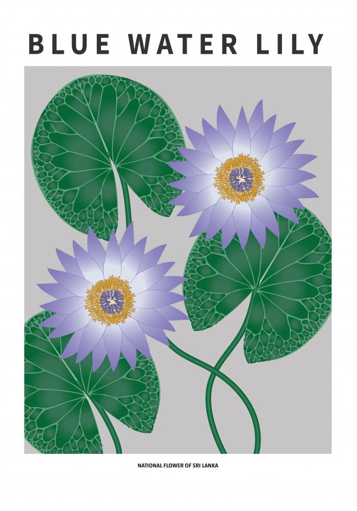 Blue Water Lilies by Paperago — canvas wall art
