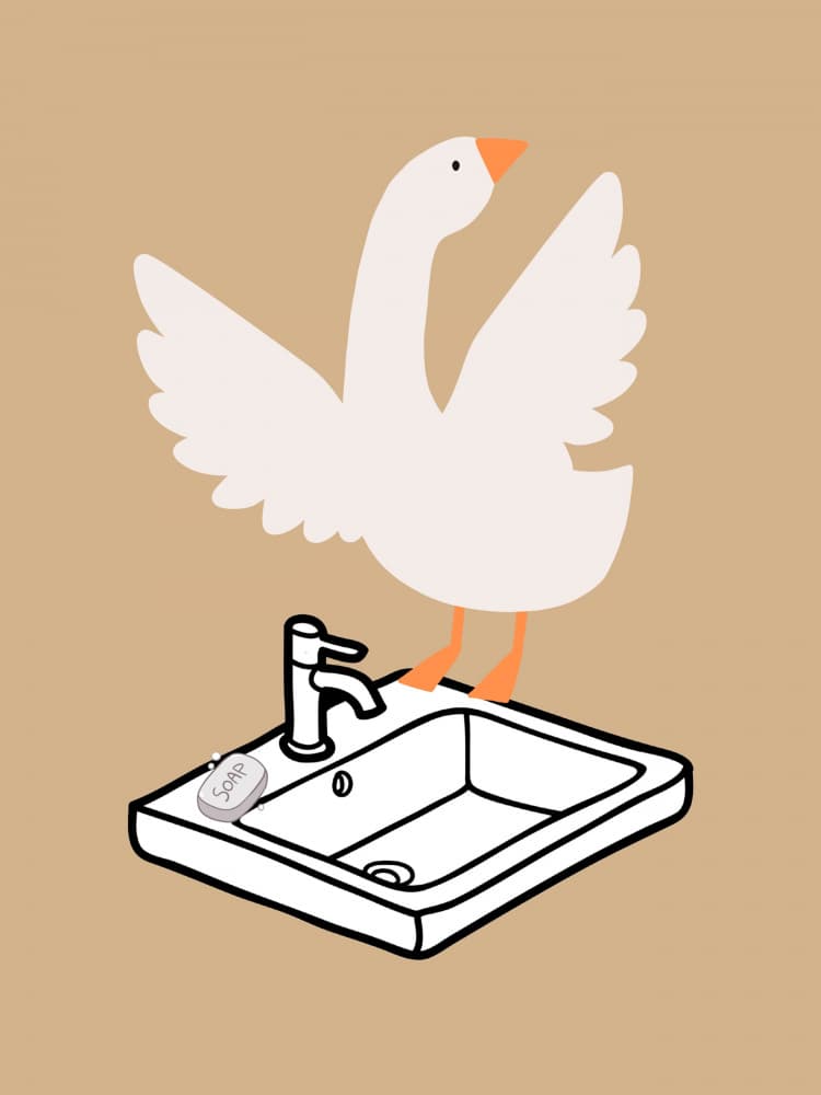 Funny Goose Washing Up by Jolly and Dash — canvas wall art