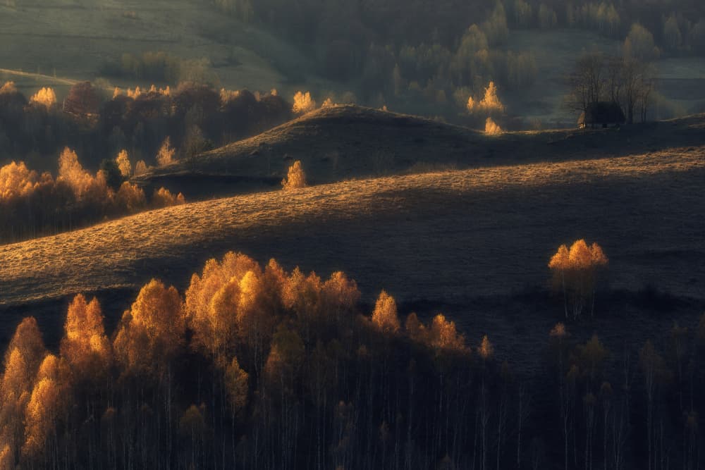 Autumn Golden Hills by Haim Rosenfeld — canvas wall art