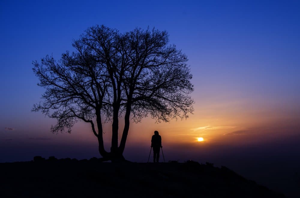 Sunset Tree Silhouette by Emir Bagci — canvas wall art