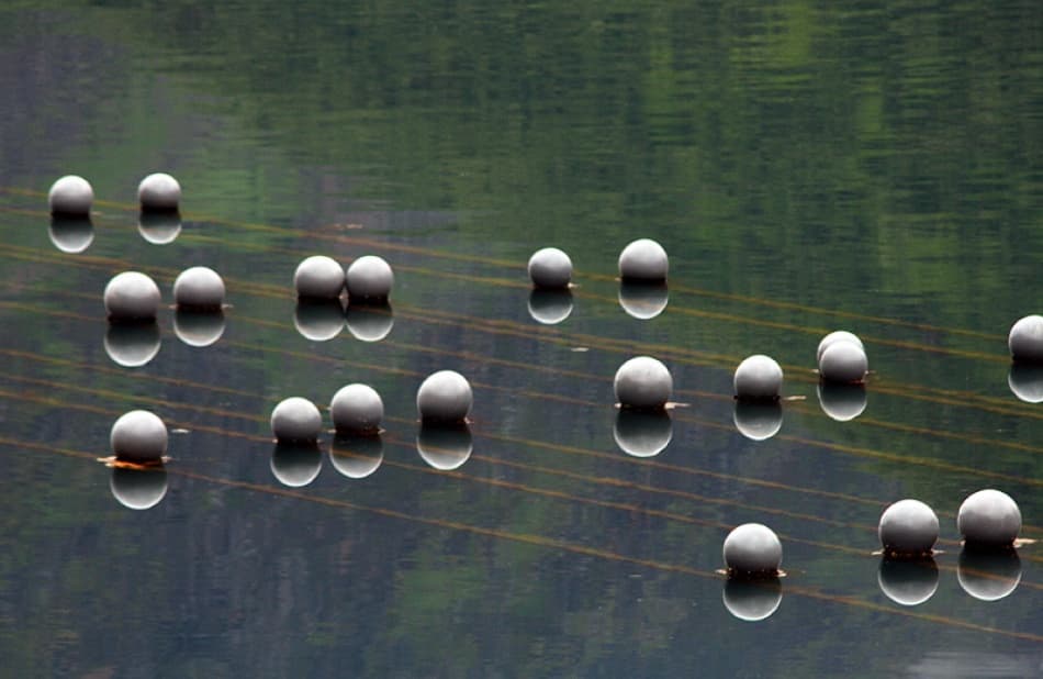 Reflected Green Buoys by Bror Johansson — canvas wall art