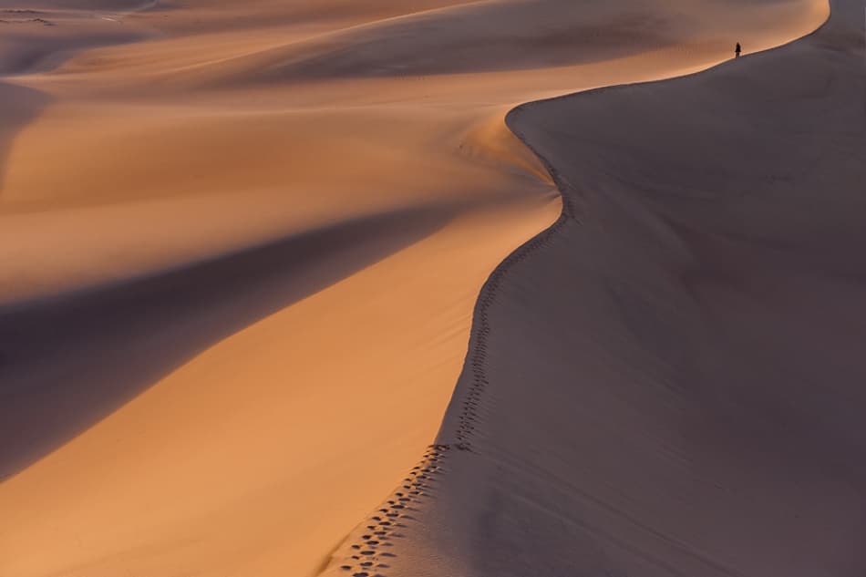 Solitary Dune Journey by Jure Kravanja — canvas wall art