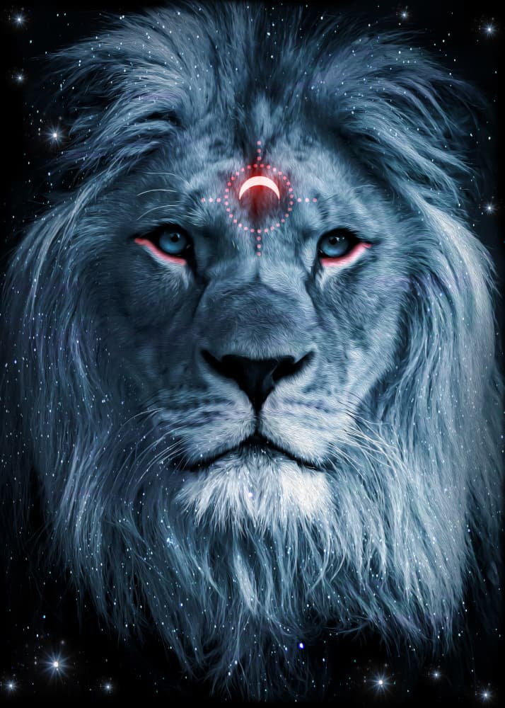 Cosmic Lion Spirit by Ariz Rab — canvas wall art
