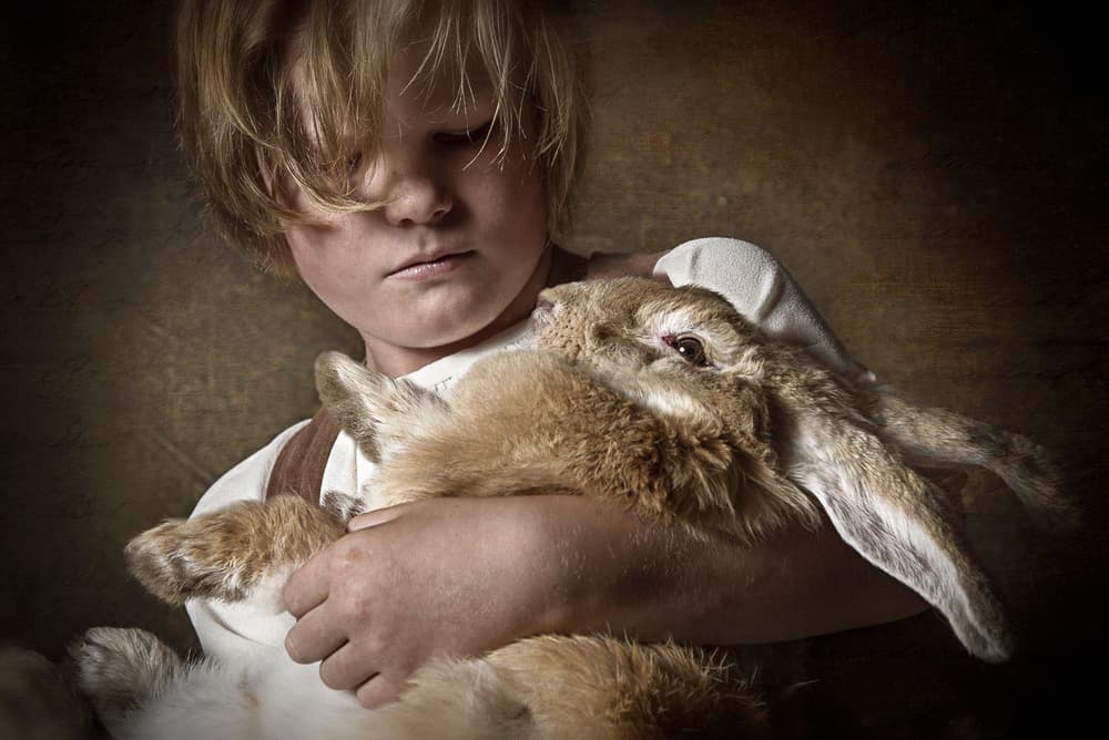 Boy With Gentle Rabbit by Carola Kayen-Mouthaan — canvas wall art