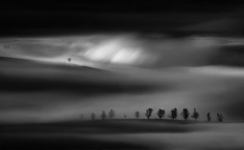 Misty Rolling Hills by Peter Svoboda MQEP — canvas wall art