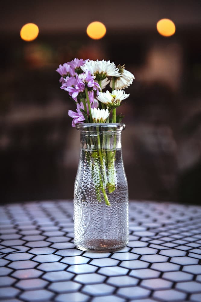Soft Cafe Flowers by Tim Mossholder — canvas wall art