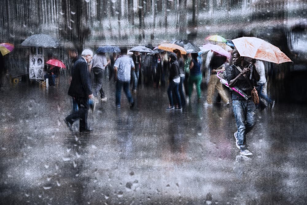 Rainy City Umbrellas by Nicodemo Quaglia — canvas wall art