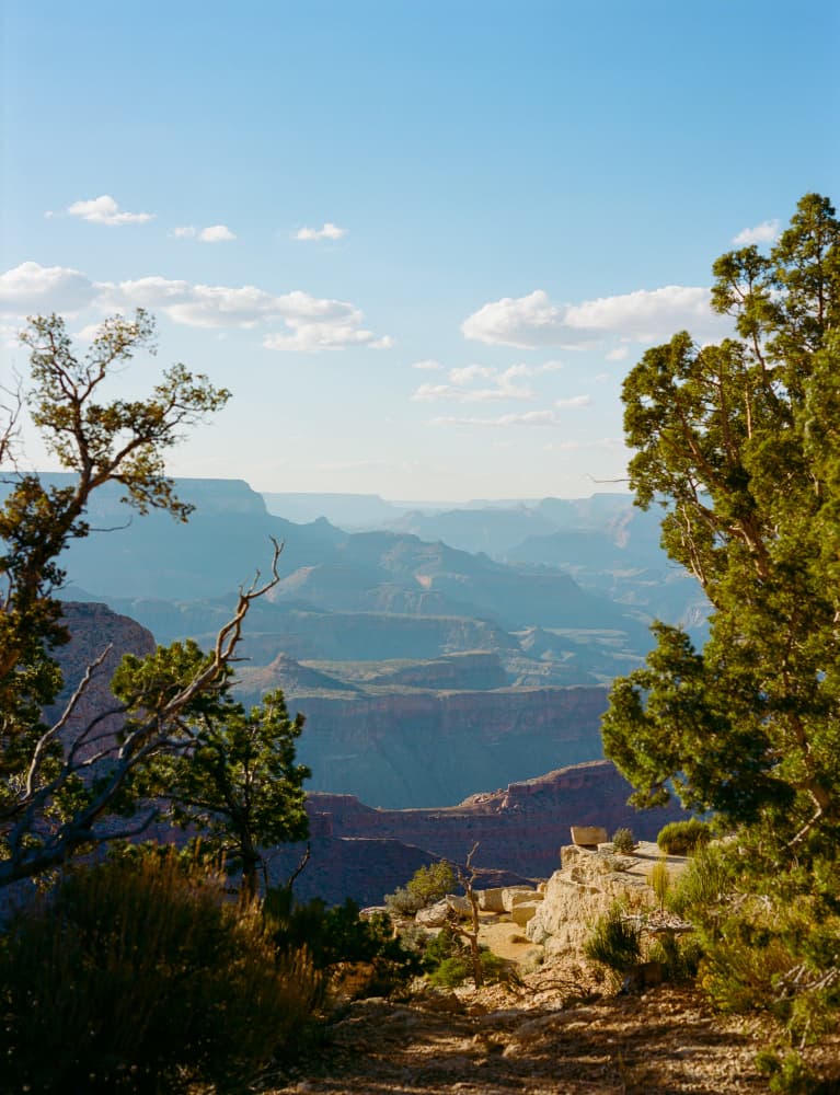 Grand Canyon Vista by Bethany Young — canvas wall art