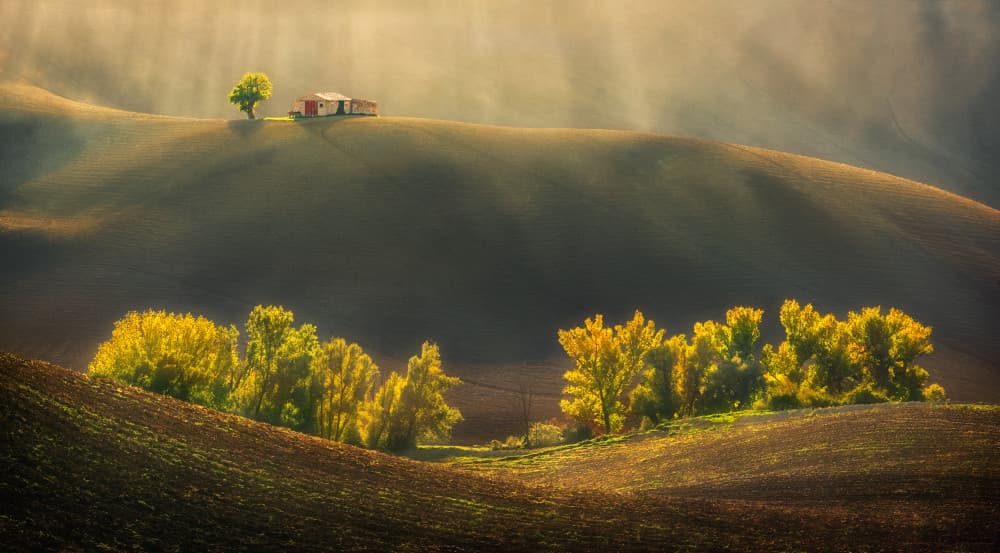 Golden Hills Morning by Krzysztof Browko — canvas wall art