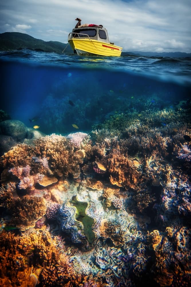 Tropical Split Ocean View by Pavol Stranak — canvas wall art