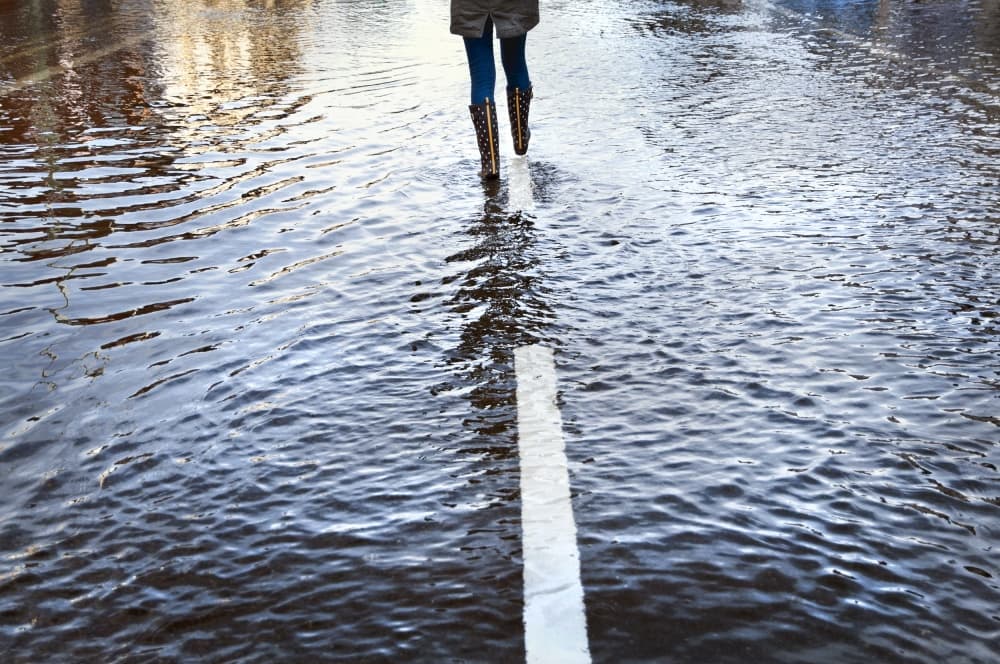 Walking Flooded Street by Linda Wride — canvas wall art