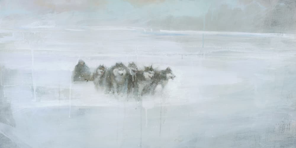 Arctic Wolf Pack by Steve Mitchell — canvas wall art